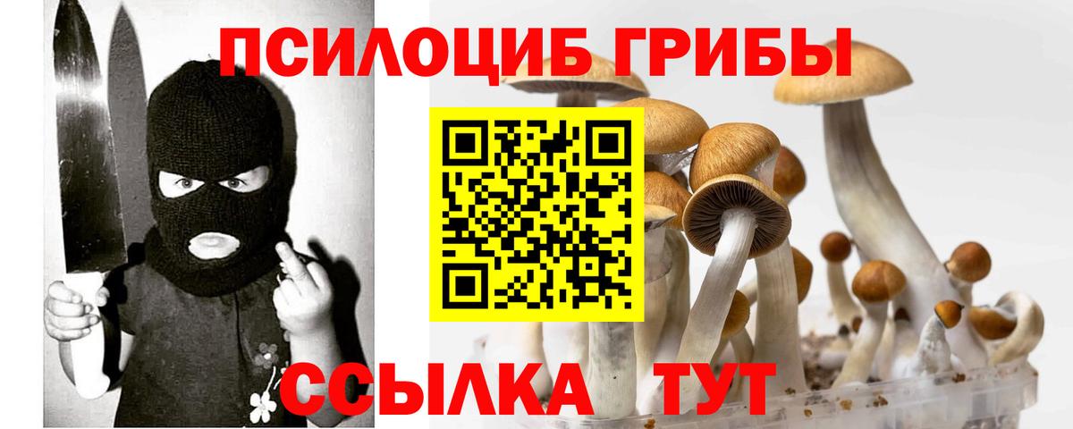 Березники  Галлюциногенные грибы мицелий  Галлюциногенные грибы Cubensis  Вход с VPN 
